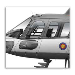 Helibrás HB-350 BA ESQUILO, PMSP, Águia 1, PP-EID en internet