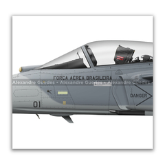 SAAB F-39E Gripen, FAB 4101, 1º GDA na internet