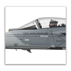 SAAB F-39E Gripen, FAB 4101, 1º GDA en internet