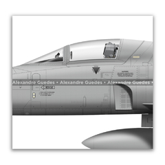 Northrop F-5E Tiger II, Fuerza Aérea Hondureña, FAH 4007 - Art In Profiles - Os melhores Posters de Aviação