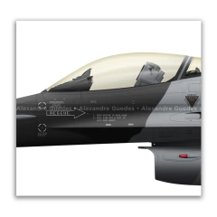 GENERAL DYNAMICS F-16C BLOCK 32 - USAF 87-0313 na internet