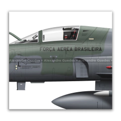 Northrop F-5EM Tiger II, FAB 4851, 1º GAVCA en internet