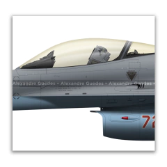 GENERAL DYNAMICS F-16C BLOCK 32 - USAF 86-0272 on internet