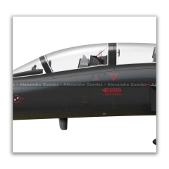 NORTHROP F-5F TIGER II, U.S. NAVY, BuNo 761580, AF 20, VFC-13. en internet