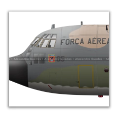 LOCKHEED HERCULES C-130H, FAB 2465 on internet