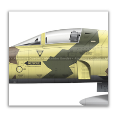 NORTHROP F-5N TIGER II, U.S. NAVY, BuNo 761536, AF 02, VFC-13. en internet