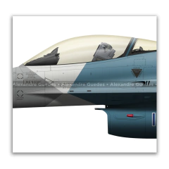GENERAL DYNAMICS F-16C BLOCK 25 - USAF 85-0418 en internet