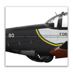 Neiva T-25M Universal, FAB 1880, AFANeiva T-25M Universal, FAB 1880, AFA en internet
