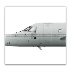 EMBRAER E-99M, FAB 6703, 2º/6º GAV en internet