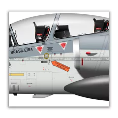 AMX INTERNACIONAL A-1B, FAB 5652, 1º/16º GAV en internet