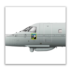 EMBRAER R-99, FAB 6750, 2º/6º GAV na internet