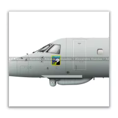 EMBRAER R-99, FAB 6750, 2º/6º GAV en internet