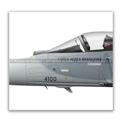 SAAB F-39E GRIPEN, FAB 4101, 1º GDA en internet