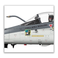 AMX INTERNACIONAL A-1, FAB 5520, 1º/16º GAV na internet