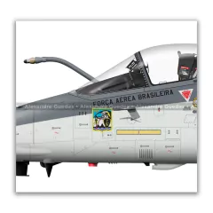 AMX INTERNACIONAL A-1, FAB 5520, 1º16º GAV en internet