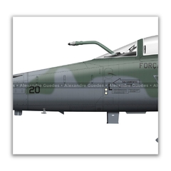 NORTHROP F-5EM TIGER II, FAB 4820, 1º/14º GAV na internet