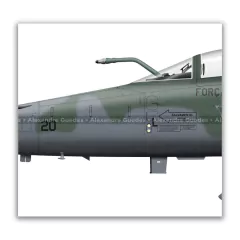 NORTHROP F-5EM TIGER II, FAB 4820, 1º/14º GAV en internet