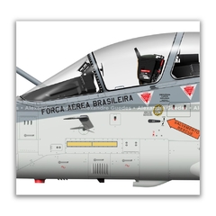 AMX INTERNACIONAL A-1B, FAB 5653, 1º/16º GAV na internet