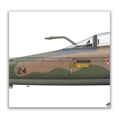 NORTHROP F-5E TIGER II, FAB 4824, 1º GAVCA on internet