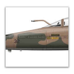 NORTHROP F-5E TIGER II, FAB 4832, 1º GAVCA na internet