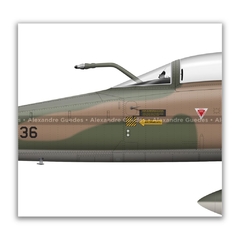 NORTHROP F-5E TIGER II, FAB 4836, 1º GAVCA en internet