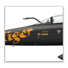 NORTHROP F-5E TIGER II, FAB 4846, 1º GAVCA en internet
