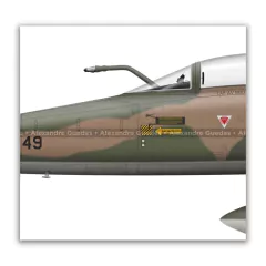 NORTHROP F-5E TIGER II, FAB 4849, 1º GAVCA en internet