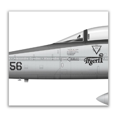NORTHROP F-5E TIGER II, FAB 4856, 1º/14º GAV na internet