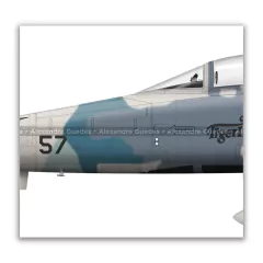 NORTHROP F-5E TIGER II, FAB 4857, 1º/14º GAV en internet
