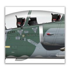 AMX INTERNACIONAL A-1B, FAB 5654, 3º/10º GAV na internet