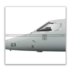 LEARJET R-35AM, FAB 6003, 1º/6º GAV en internet