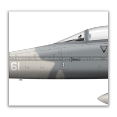 NORTHROP F-5E TIGER II, FAB 4861, 1º/14º GAV en internet