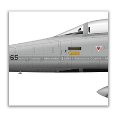 NORTHROP F-5E TIGER II, FAB 4865, 1º/14º GAV na internet
