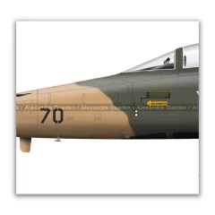 NORTHROP F-5E TIGER II, FAB 4870, 1.º/14.º GAV en internet