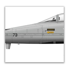 NORTHROP F-5E TIGER II, FAB 4873, 1º/14º GAV na internet