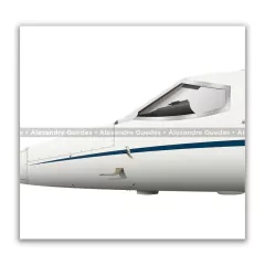 LEARJET R-35AM, FAB 6003, 1º/6º GAV en internet