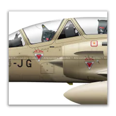 DASSAULT MIRAGE 2000N/K2, ARMÉE DE L'AIR, Nº 358 na internet