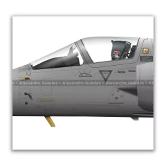DASSAULT MIRAGE 2000P, FAP 051, GRUPO AÉREO Nº 4 en internet