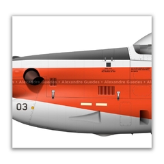 EMBRAER T-27 TUCANO, FAB 1303, AFA na internet