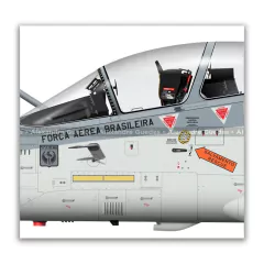 AMX INTERNACIONAL A-1B, FAB 5655 Cinza, 3º/10º GAV en internet