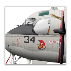 GRUMMAN P-16E TRACKER, FAB 7034, 1º GAE en internet