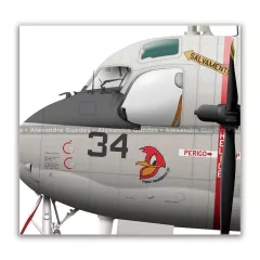 GRUMMAN P-16E TRACKER, FAB 7034, 1º GAE en internet