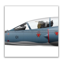 DASSAULT MIRAGE IIID BR/F-103D, FAB 4901, 1º GDA en internet