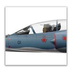 DASSAULT MIRAGE IIID BR/F-103D, FAB 4901, 1º GDA en internet