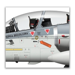 AMX INTERNACIONAL A-1B, FAB 5658, 1º/10º GAV na internet