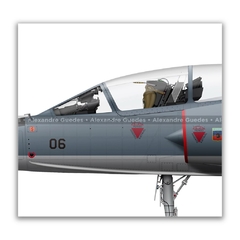 DASSAULT MIRAGE IIID BR/F-103D, FAB 4906, 1º GDA en internet