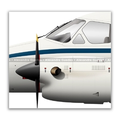 EMBRAER EMB-121 / VU-9, FAB 2654, 6º ETA en internet