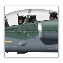 AMX INTERNACIONAL A-1BM, FAB 5652, 1º/16º GAV en internet