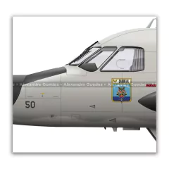 EMBRAER P-95A BANDEIRULHA, FAB 7050, 4º/7º GAV en internet