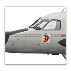 EMBRAER P-95A BANDEIRULHA, FAB 7057, 1º GAE en internet